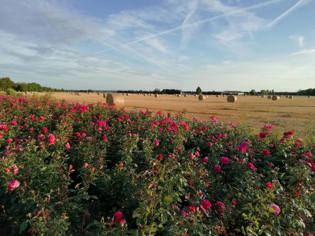 La Planche Princee, Chambres D'Hotes Ecolo Et Potager Bio, Sauna Les Rosiers Exteriér fotografie
